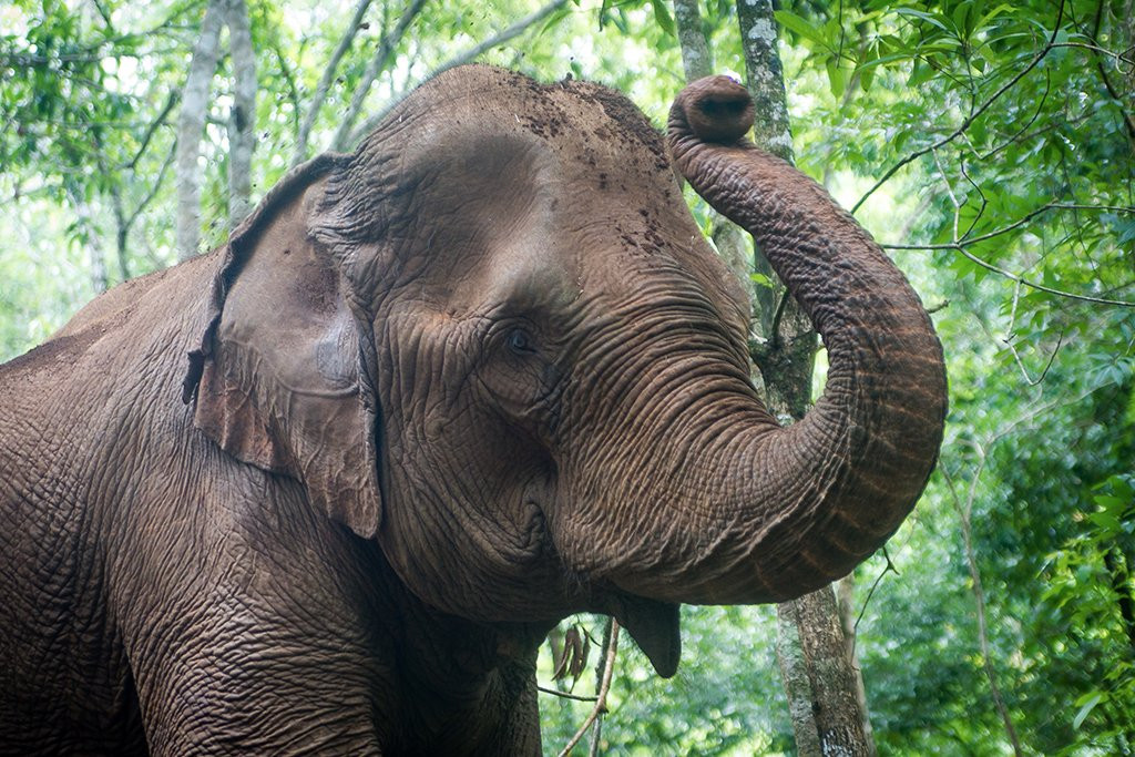 Mondulkiri Project-森莫诺隆必去景点