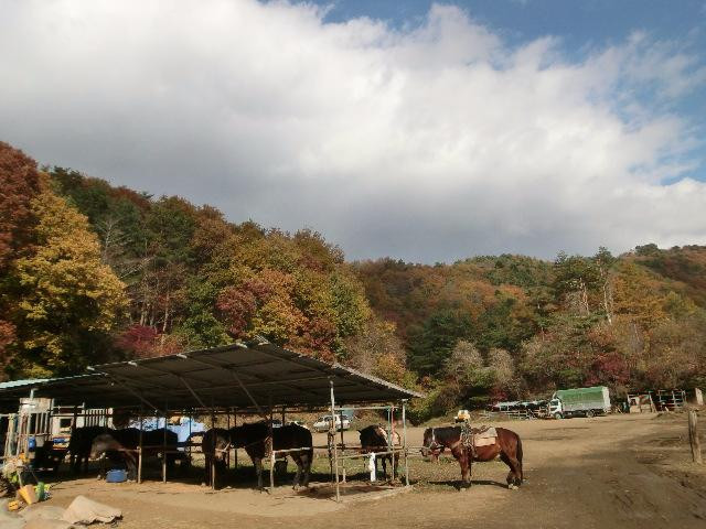 Koyodai Kiso Horse Ranch景点图片