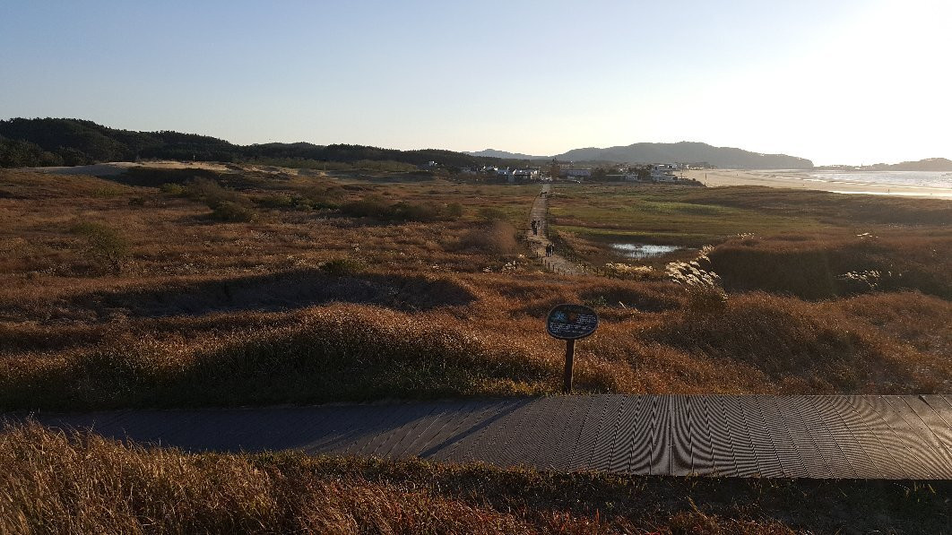 Taean Sinduli Haean Sagu景点图片