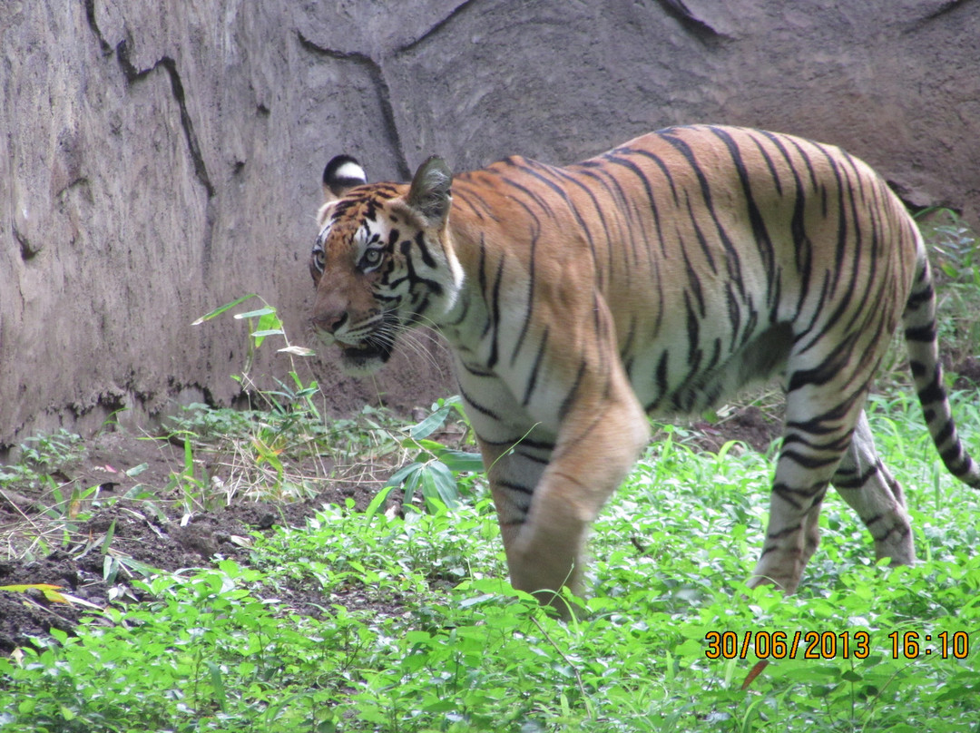 Rajiv Gandhi Zoological Park景点图片