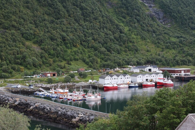 Øyneset