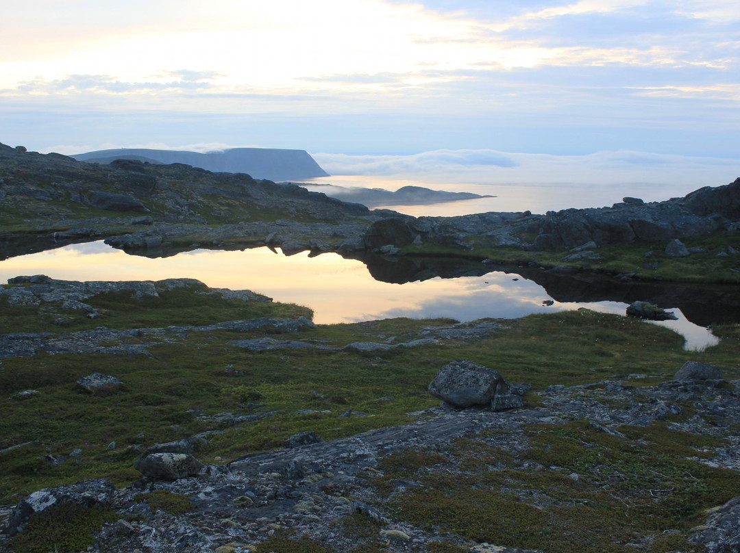 null-Skarsvag