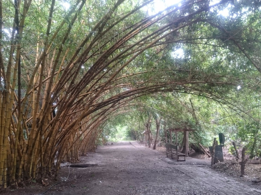 Baras Bird Sanctuary-Tacurong必去景点
