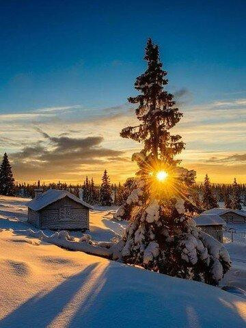 Maardu旅游攻略图片