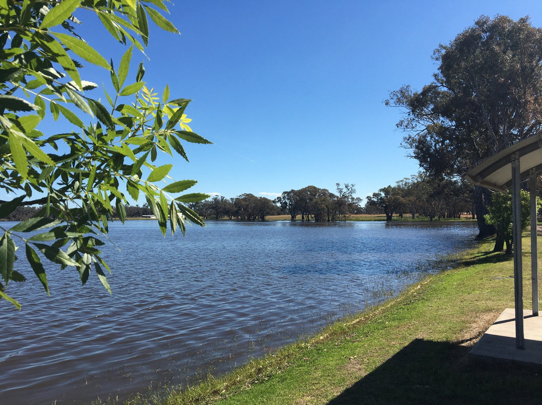 Edenhope旅游景点-Lake Bringalbert