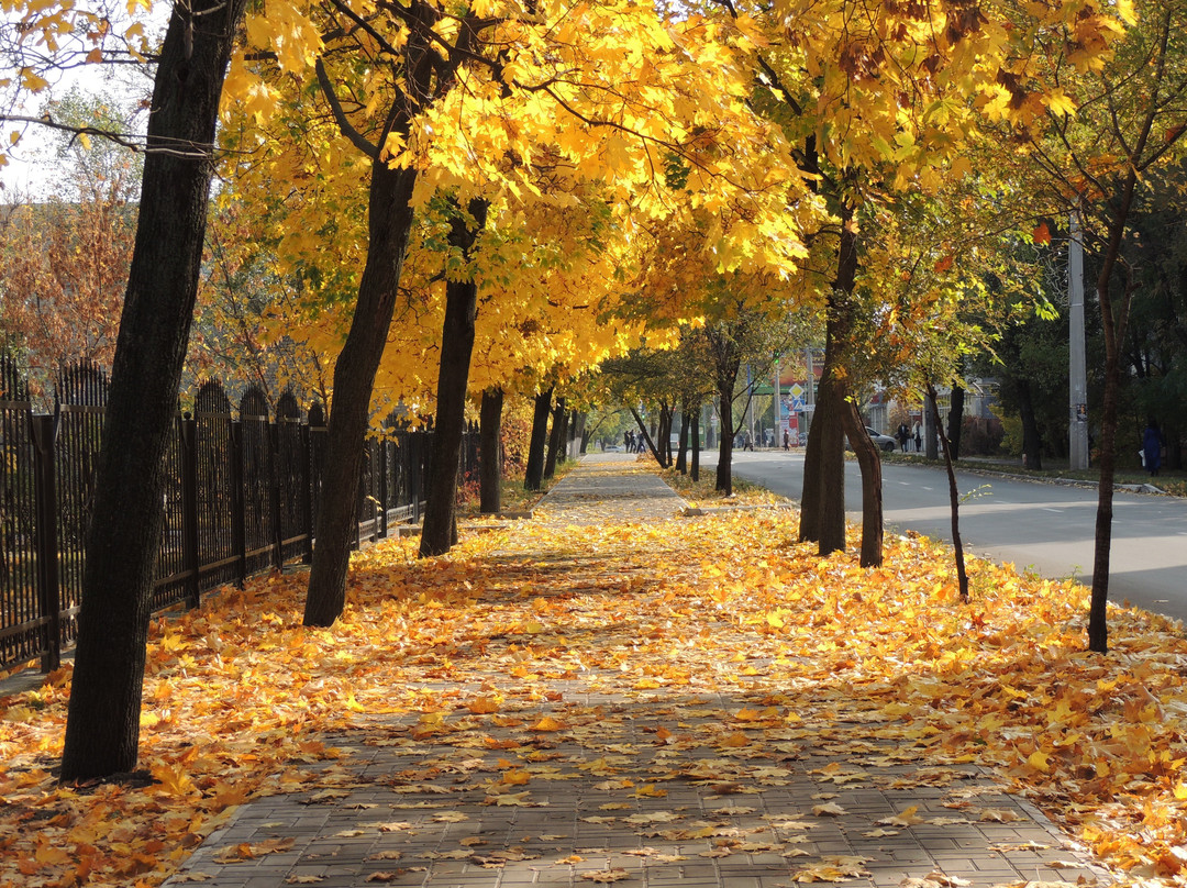 Severodonetsk旅游攻略图片