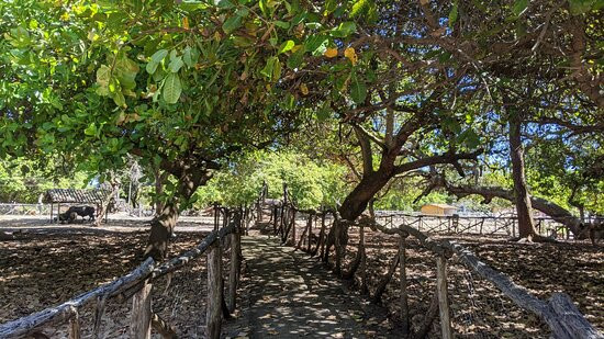 Xales de Maracaipe Pousada主图