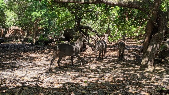 Xales de Maracaipe Pousada主图