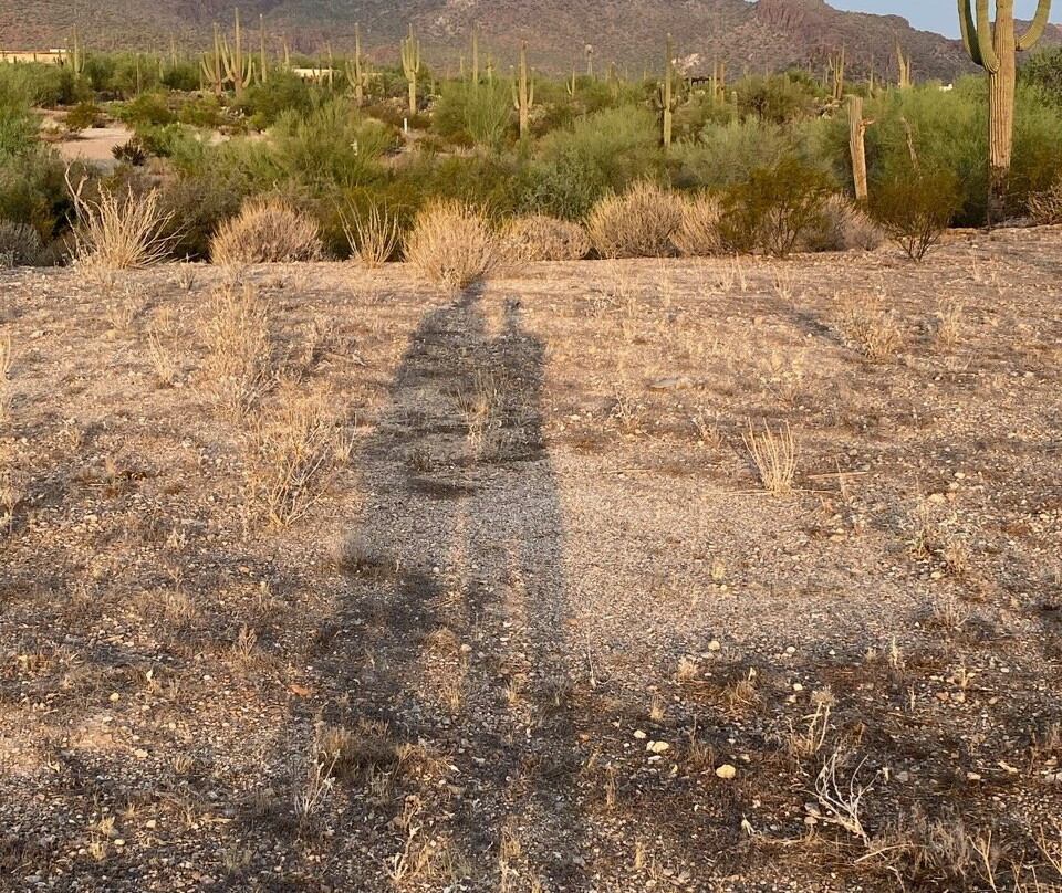 Mira Vista Resort主图