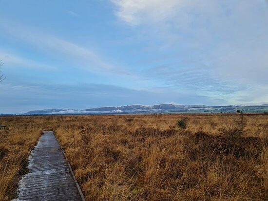 Flanders Moss National Nature Reserve景点图片