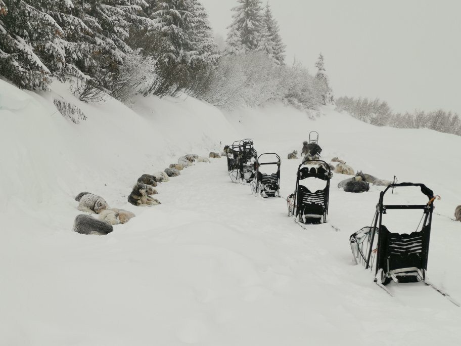 L’Aventure en Traîneau-Vinzier必去景点