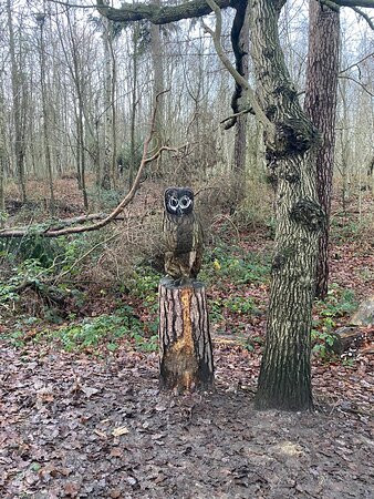 High Woods Country Park景点图片