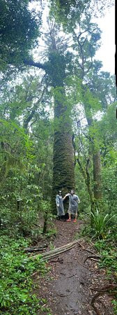 UTV Monte Verde-蒙特贝尔德必去景点