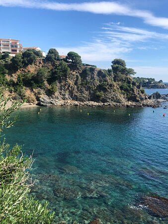 Playa La Farella景点图片