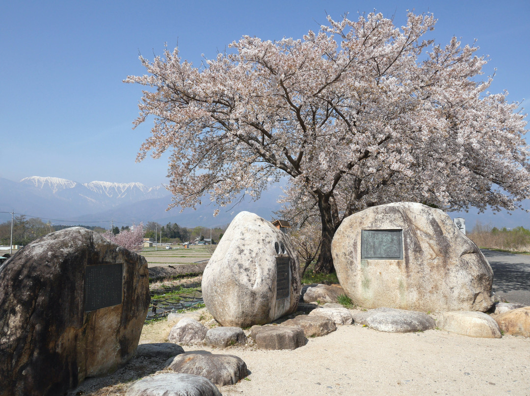 Soshunfu Kahi Park景点图片