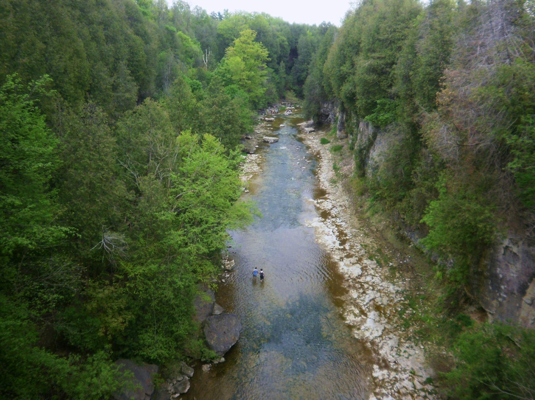 伊劳拉旅游攻略图片