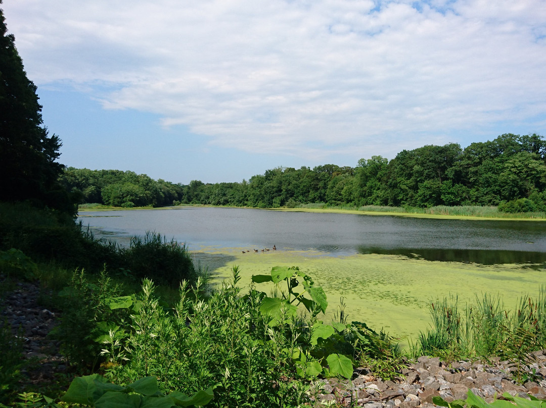 Bronxville旅游攻略图片