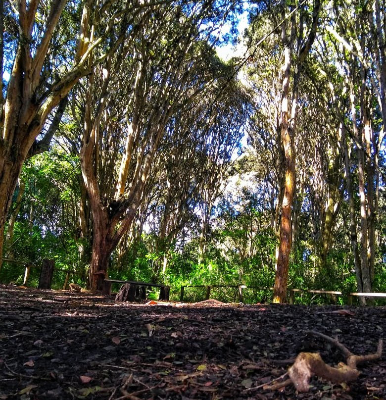 San Gabriel旅游攻略图片