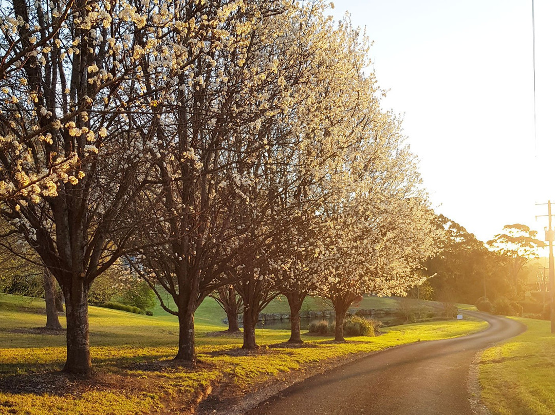 The Drawing Rooms of Berry主图