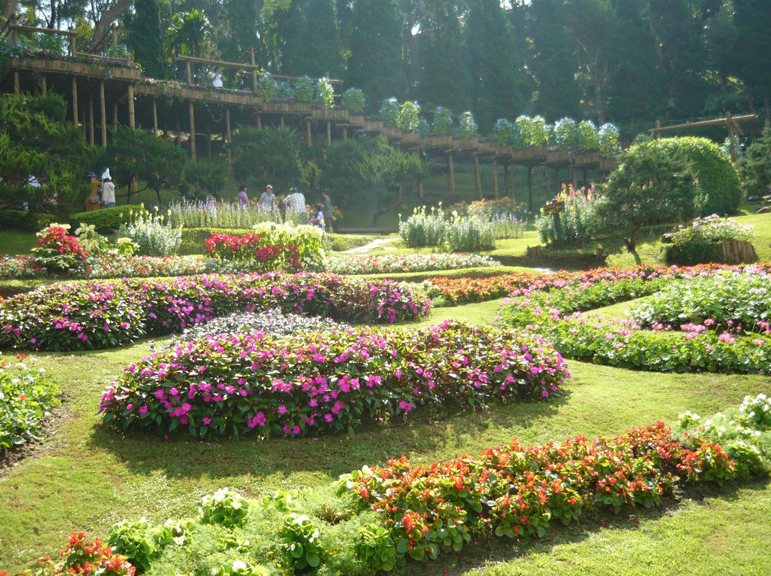Si Kham旅游景点-Doi Tung