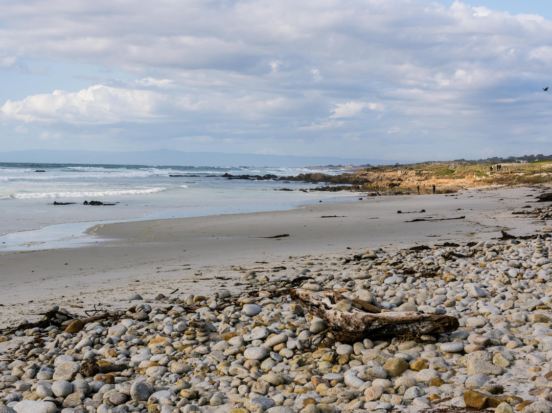 圆石滩旅游景点-Spanish Bay