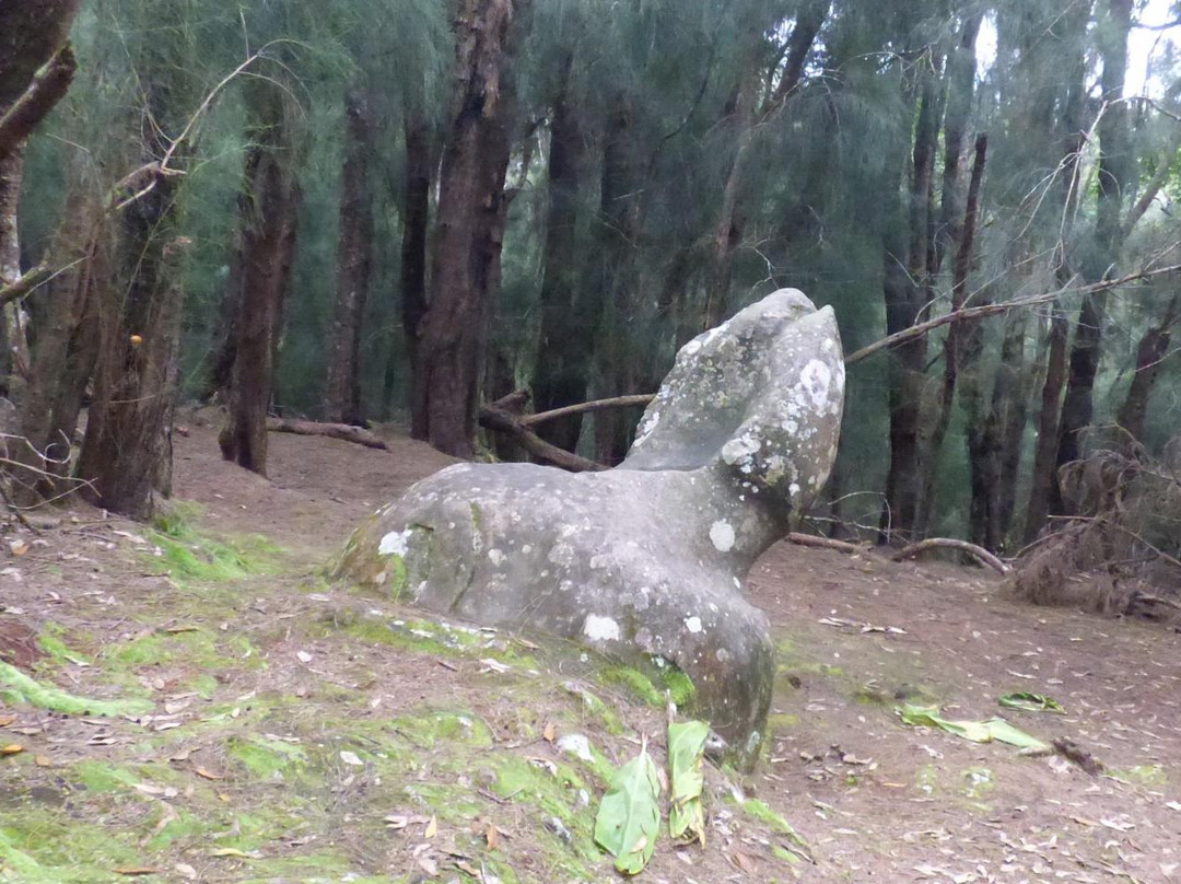 Phallic Rock (Ka Ule o Nanahoa)景点图片
