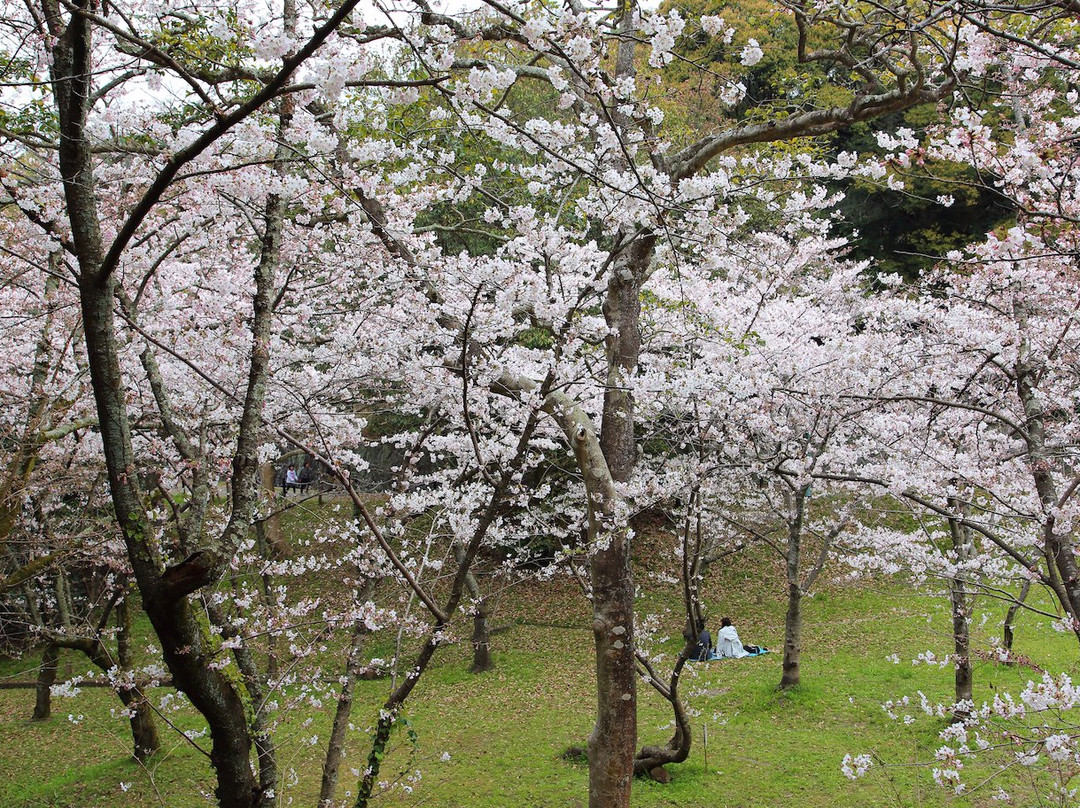 Nishi Park景点图片