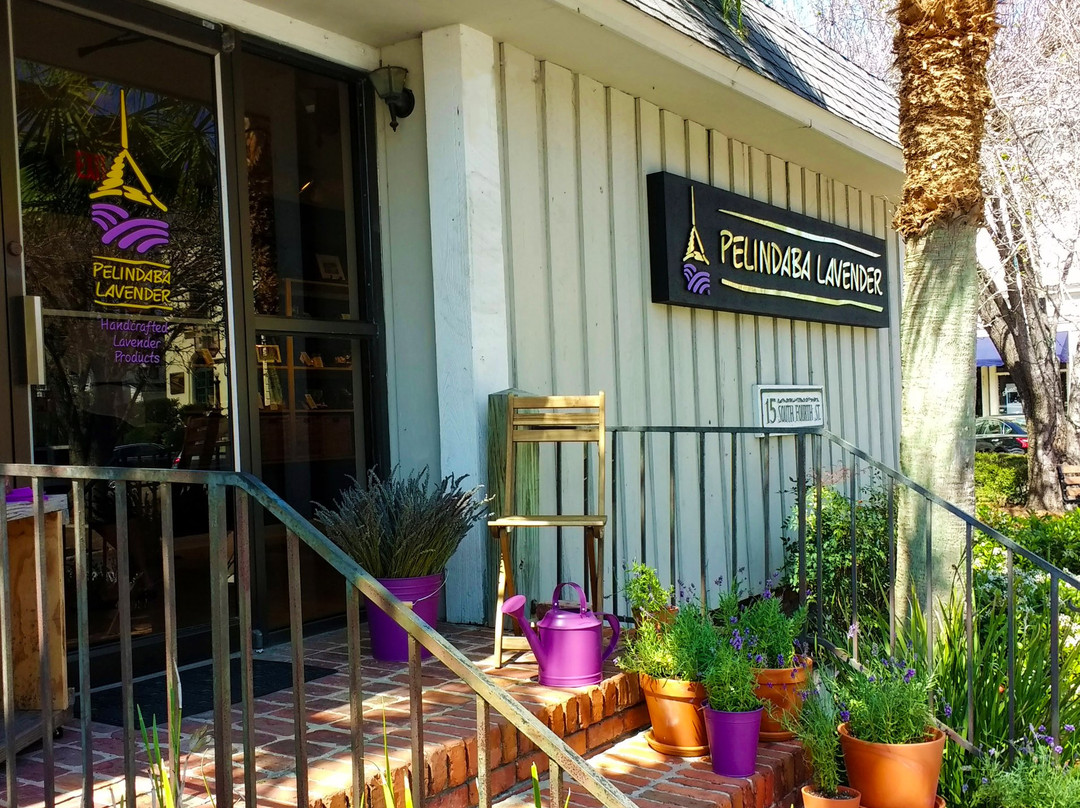 Pelindaba Lavender Amelia Island-阿米莉亚岛必去景点