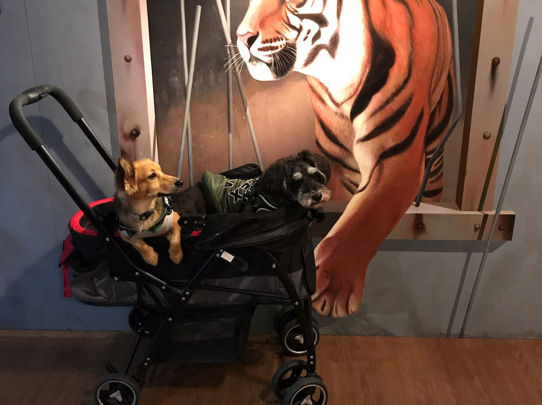 House of Trick Art-那须町必去景点