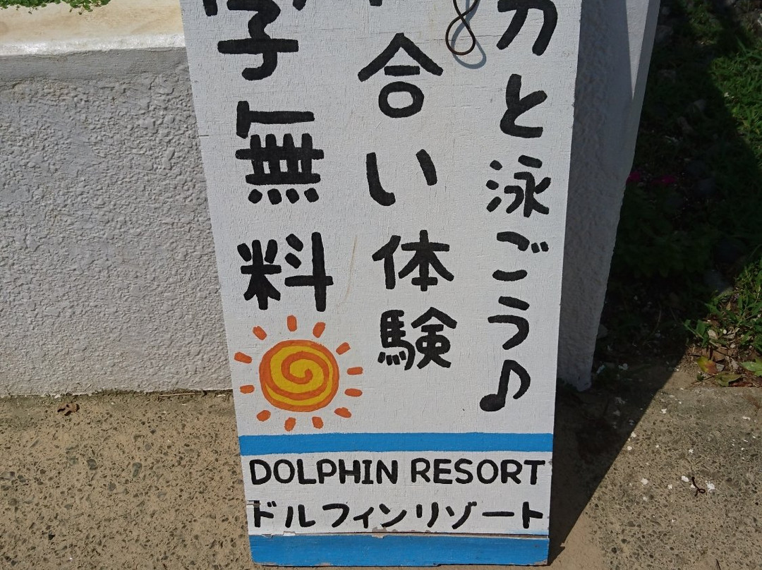 Dolphin Resort景点图片