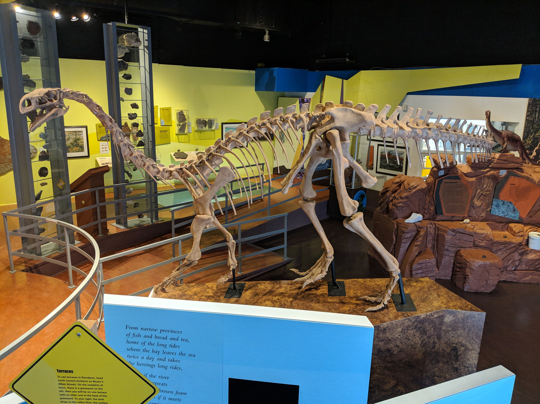 Fundy Geological Museum景点图片
