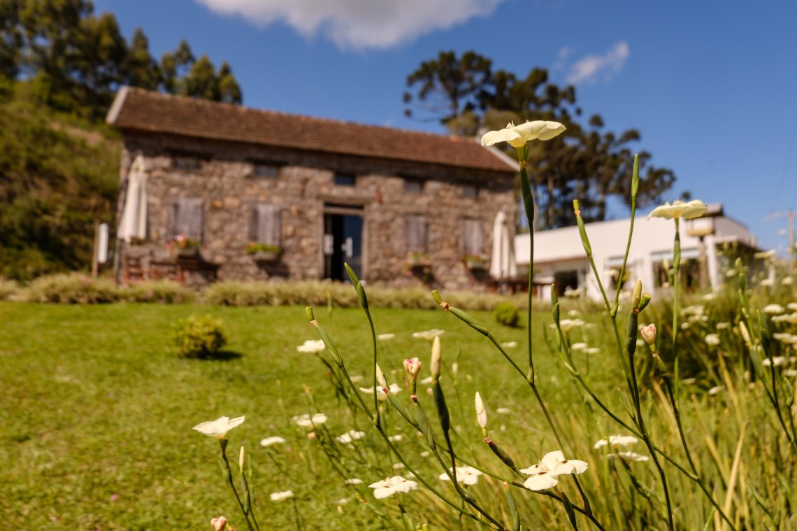坎特里旅馆-官方