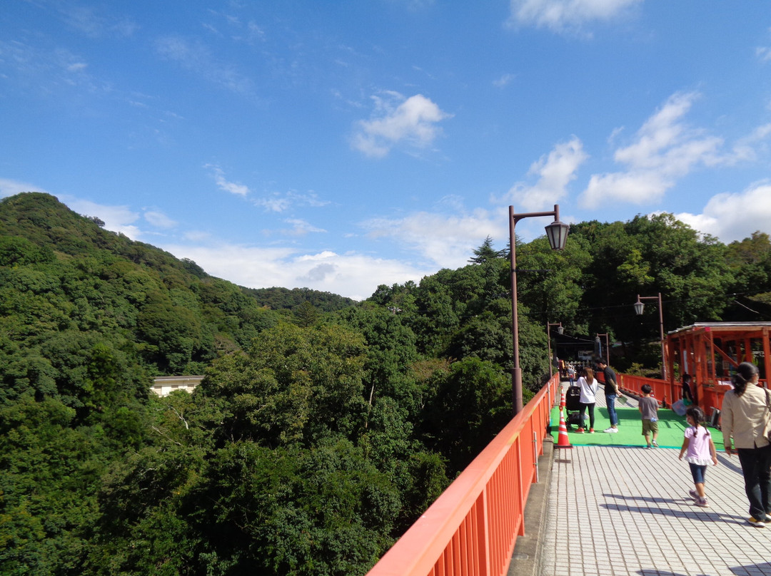 Kaiunbashi Bridge景点图片