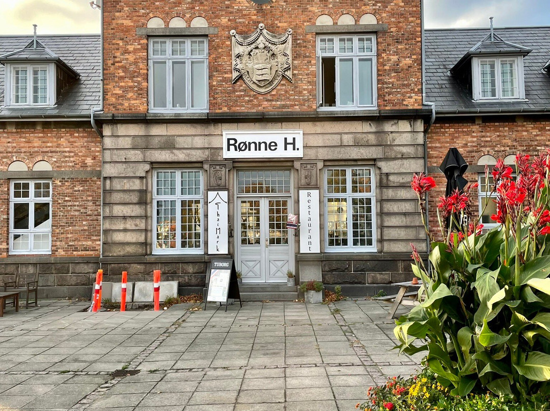 Ronne H