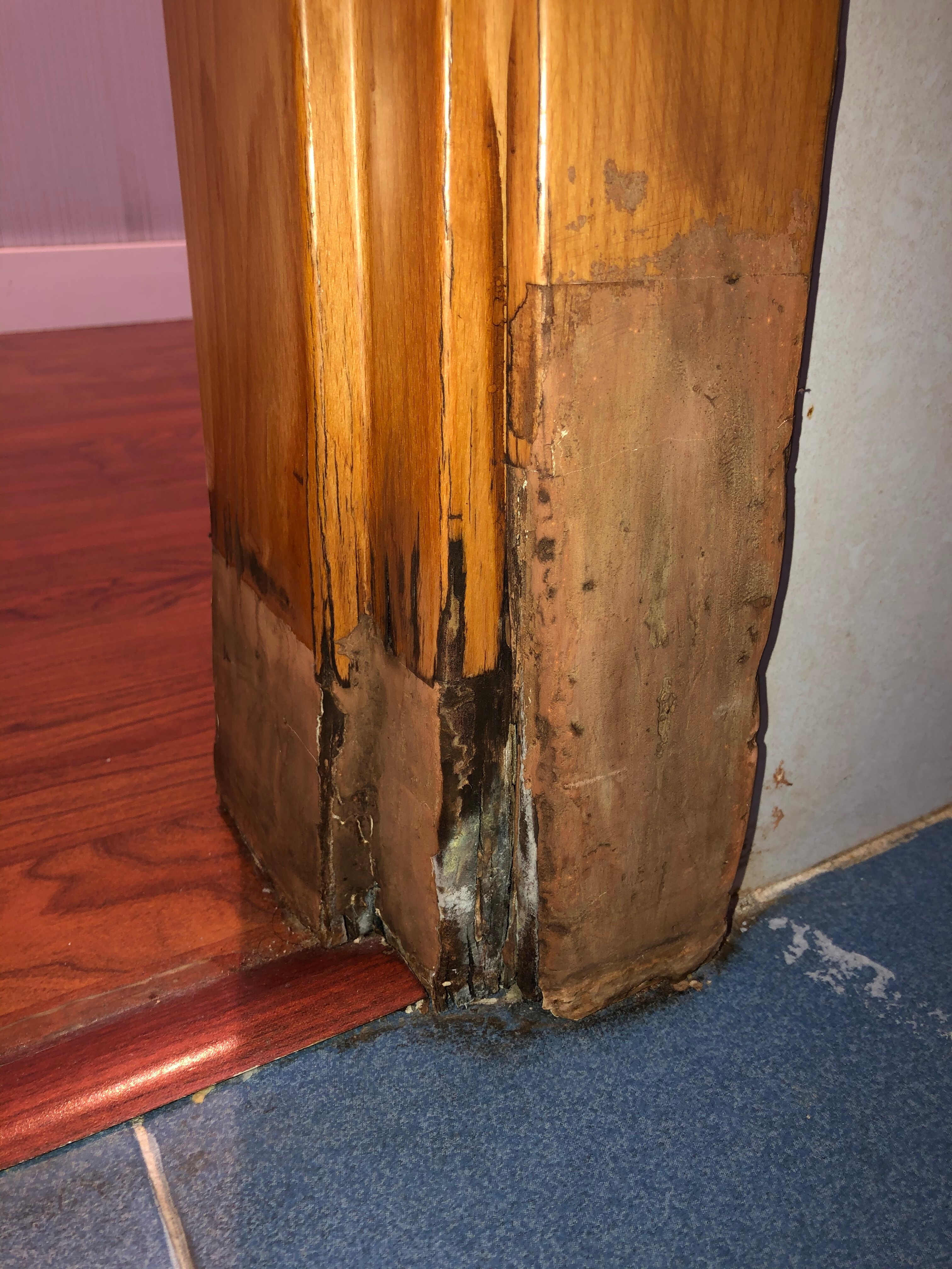 塞维利亚帕梅拉酒店-官方