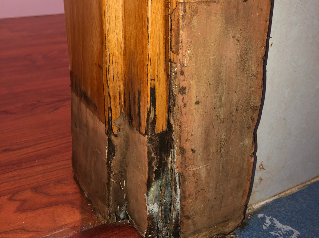 塞维利亚帕梅拉酒店主图