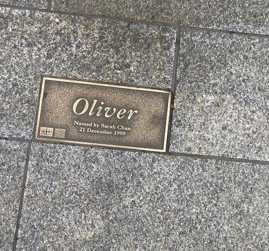 The Rundle Mall Pigs-阿德莱德必去景点