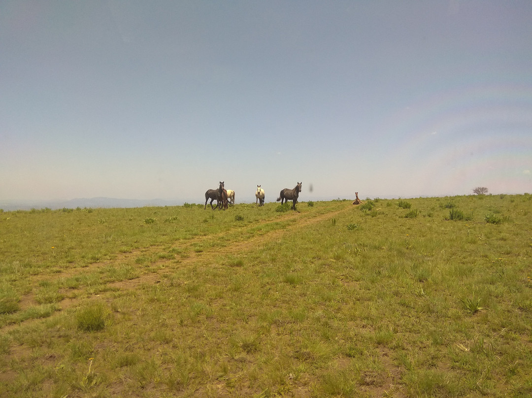 Stone Circle Museum-Emgwenya必去景点