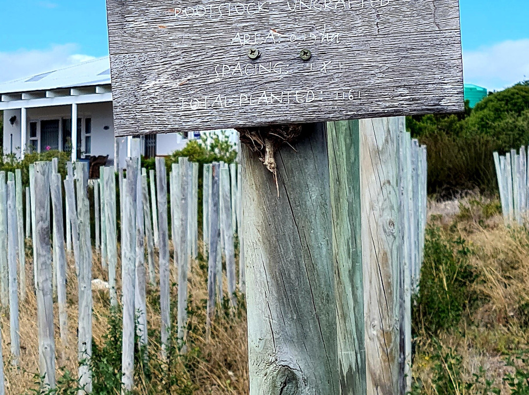 Springfontein Wine Estate景点图片