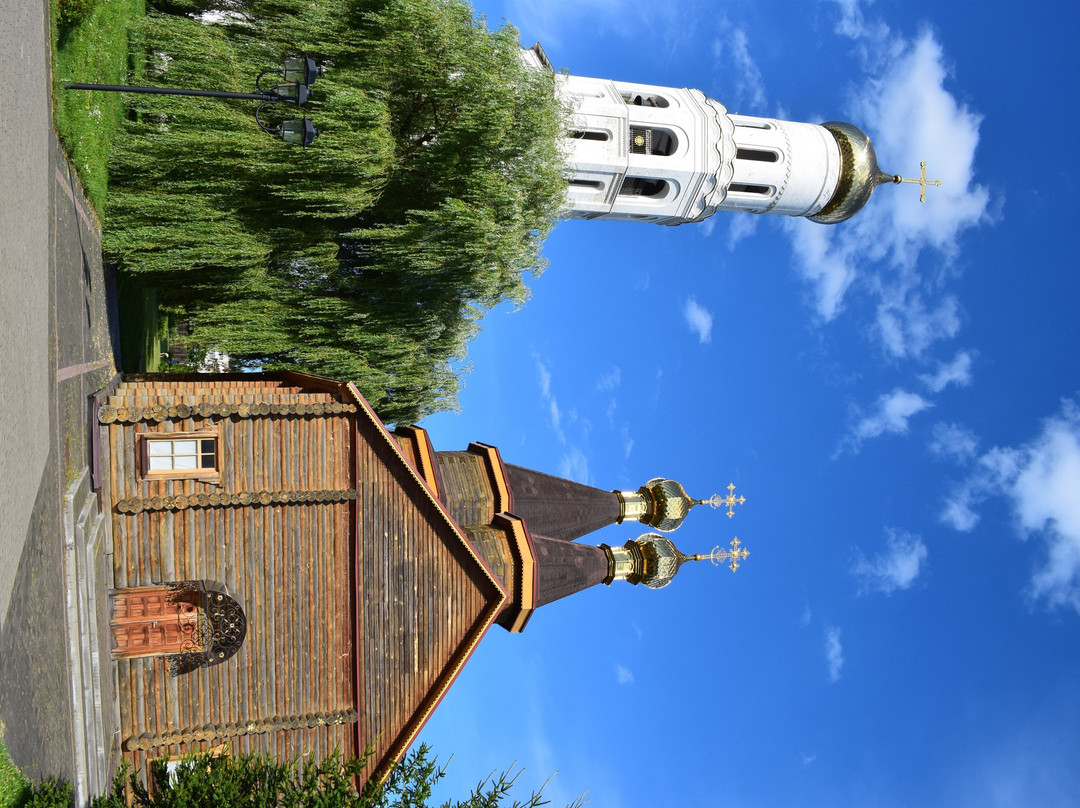 Church of the New Martyrs of Bryansk景点图片