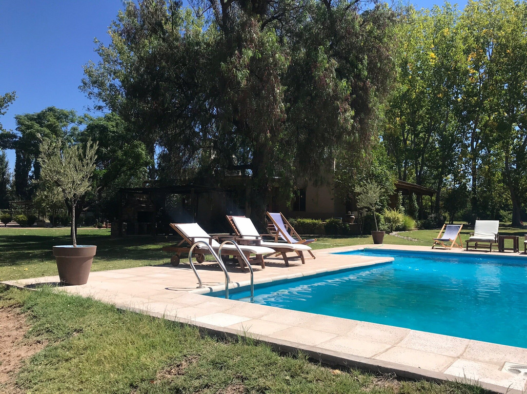 Algodon Wine Estates主图