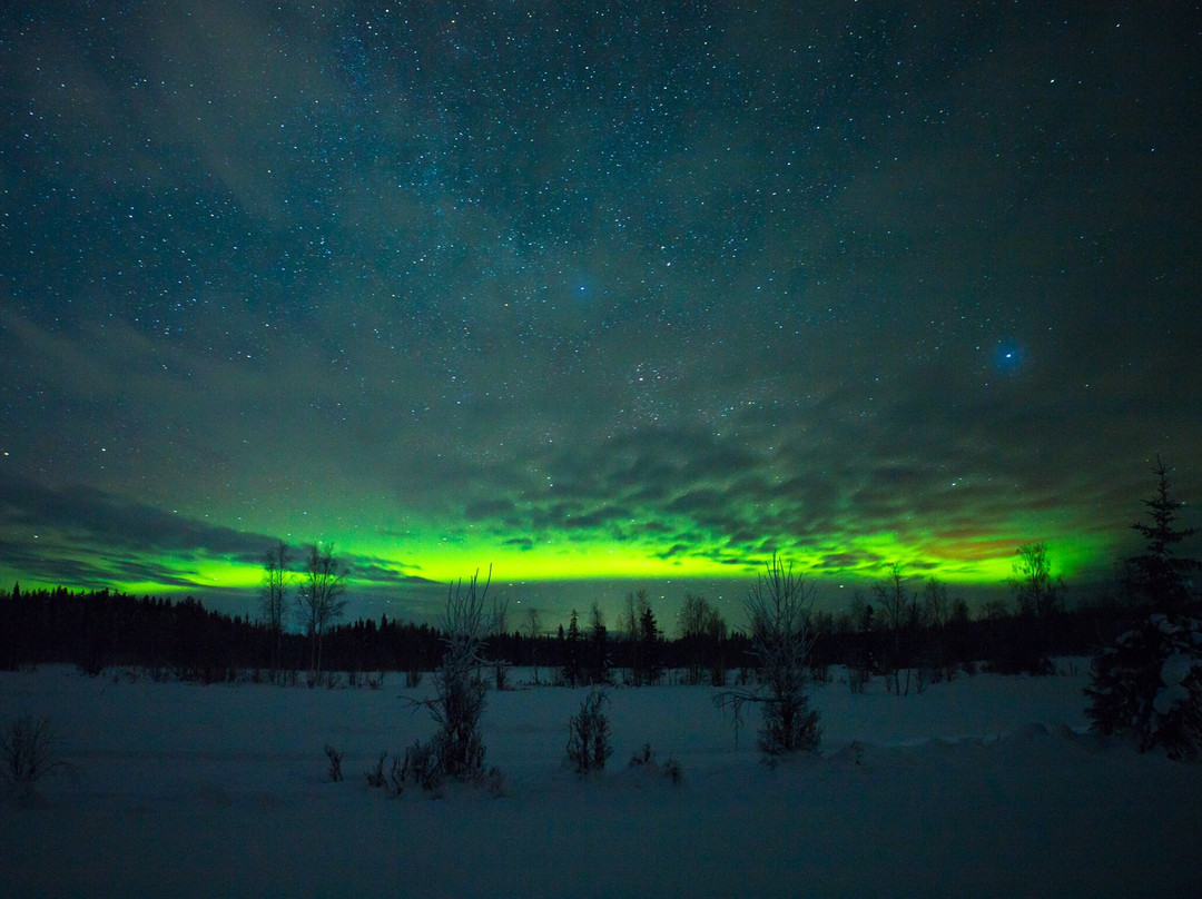 Arctic Adventure景点图片