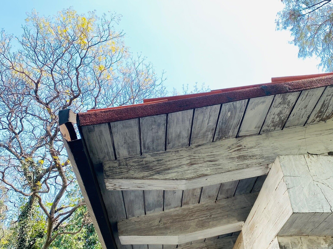 Los Pinos-墨西哥城必去景点