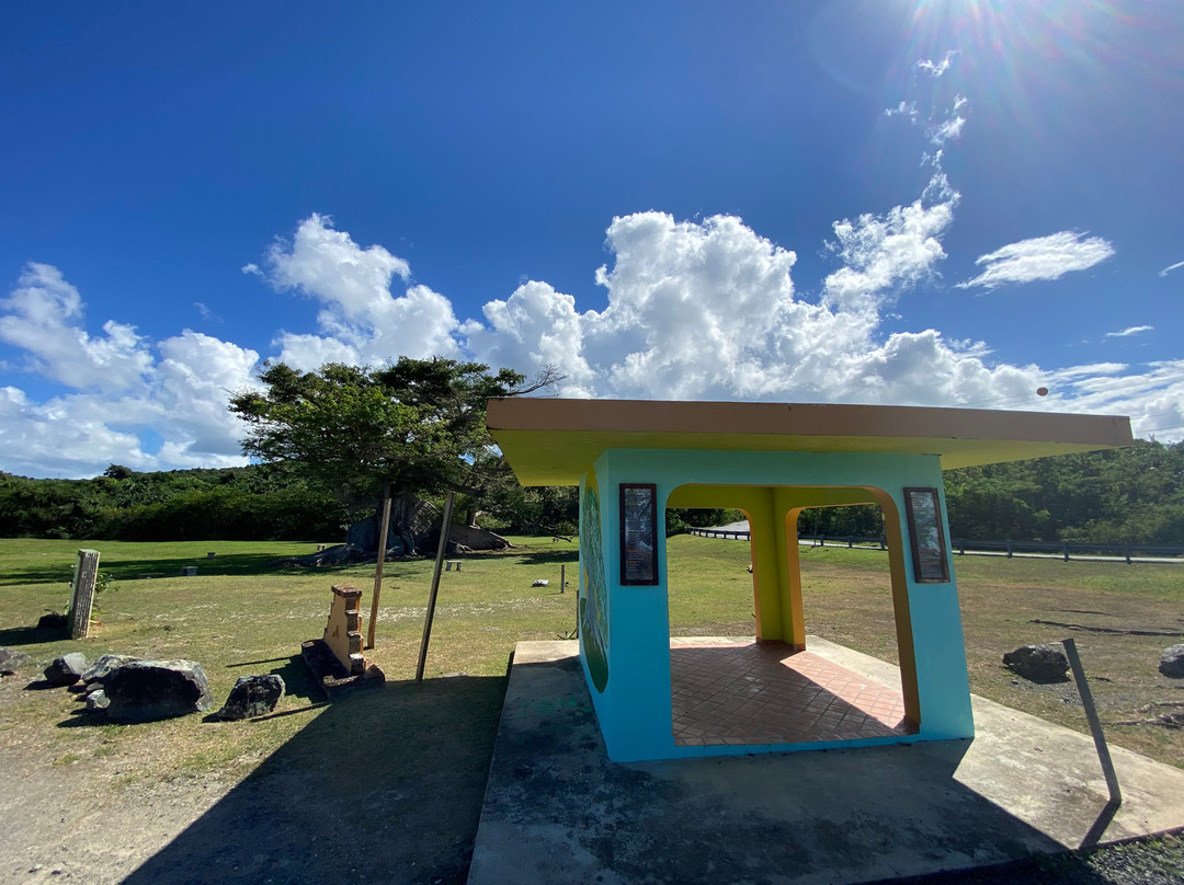 La Gran Ceiba de Vieques-维切克岛必去景点