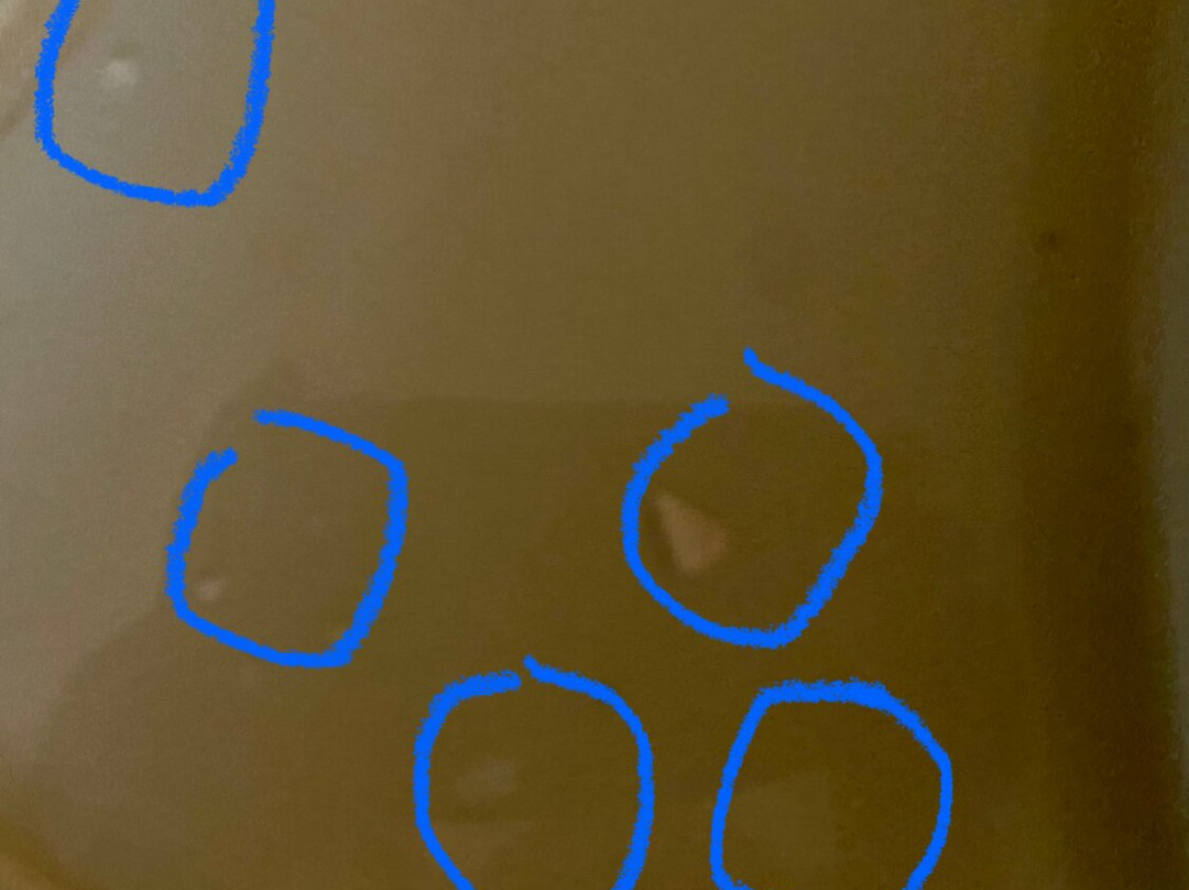 埃文斯顿希尔顿恒庭酒店主图