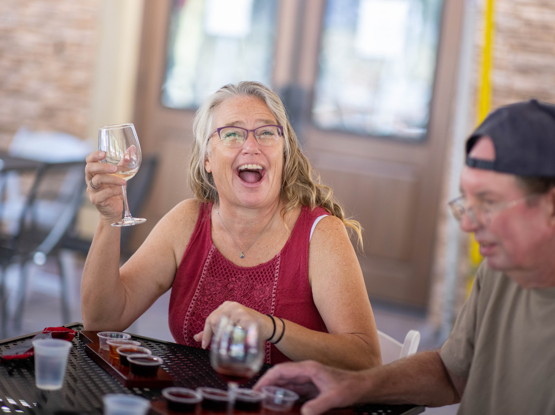 Fredericksburg Cable Car Wine Tours-弗雷德里克斯堡必去景点
