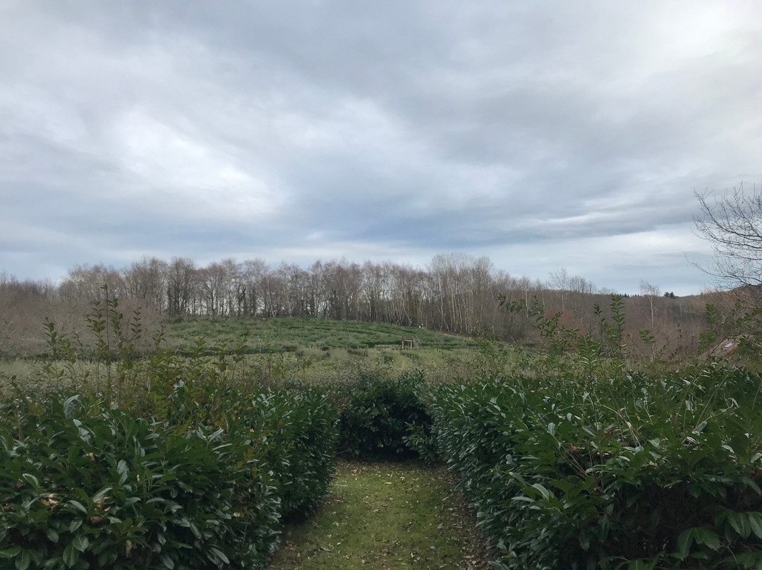 Labyrinthe Géant des Monts de Guéret景点图片