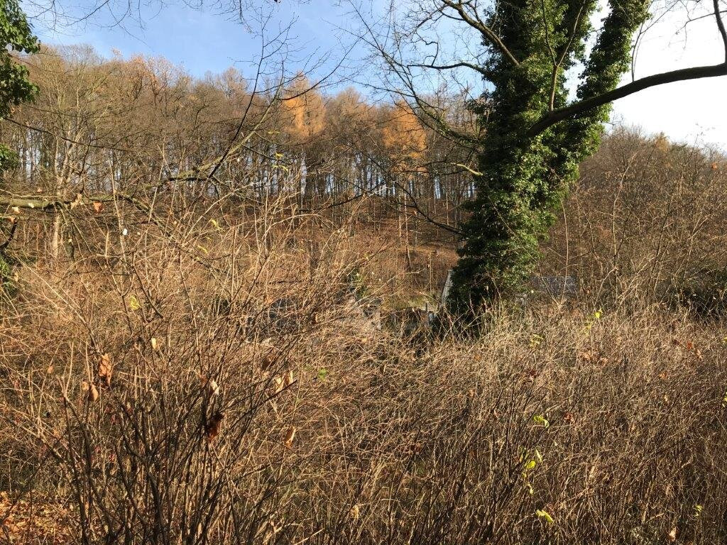 Schlosspark Waldenburg景点图片
