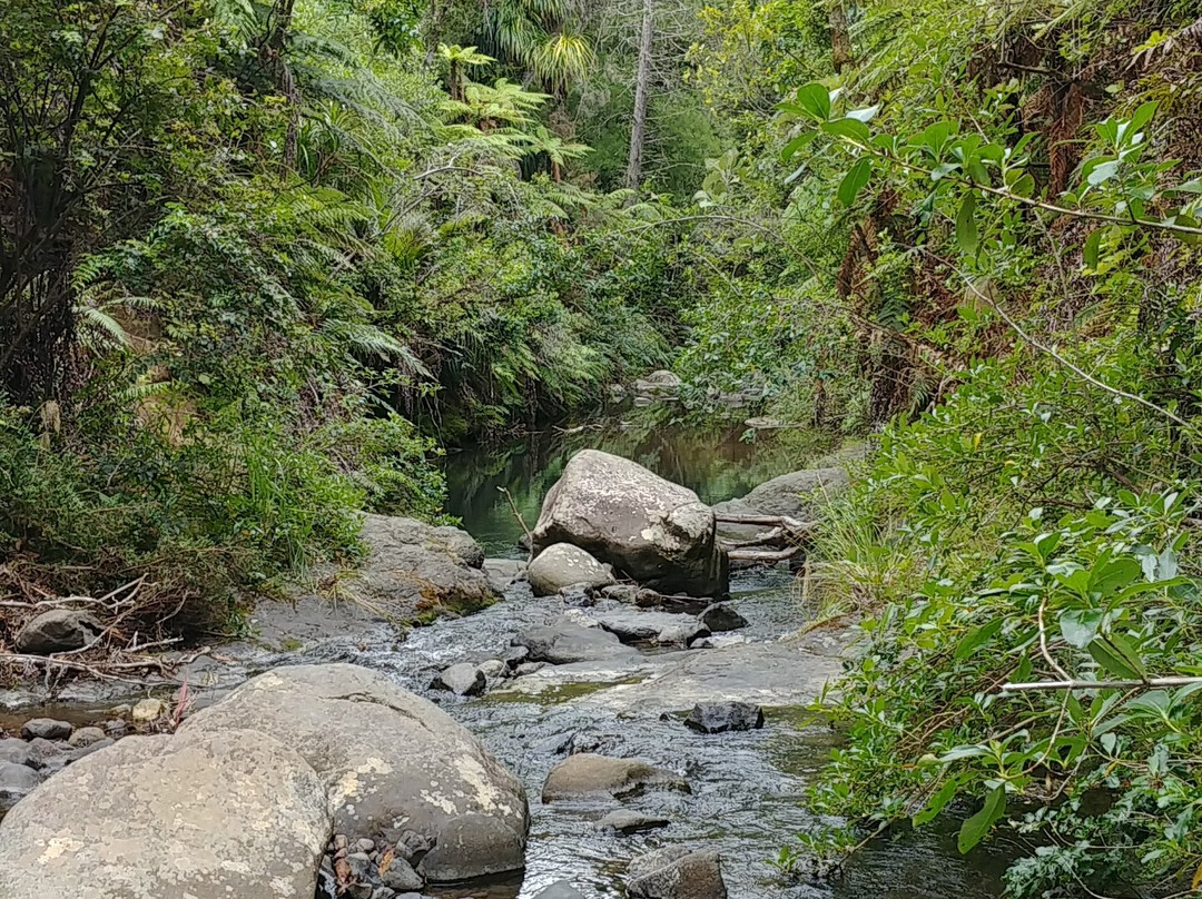 Waiau Falls Walk景点图片
