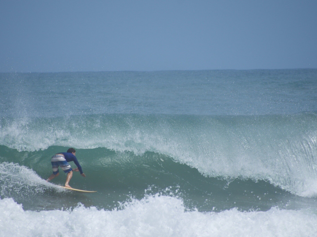 Cahuita Experience Surf School景点图片